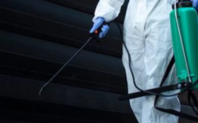 Désinsectisation à Lyon :Les traitements anti-insectes sont-ils sans danger pour les animaux domestiques à Lyon ?