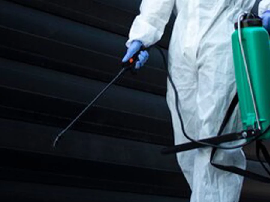 Désinsectisation à Lyon :Les traitements anti-insectes sont-ils sans danger pour les animaux domestiques à Lyon ?