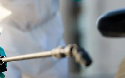 Désinsectisation à Lyon :Signes indiquant la nécessité d’une désinsectisation professionnelle