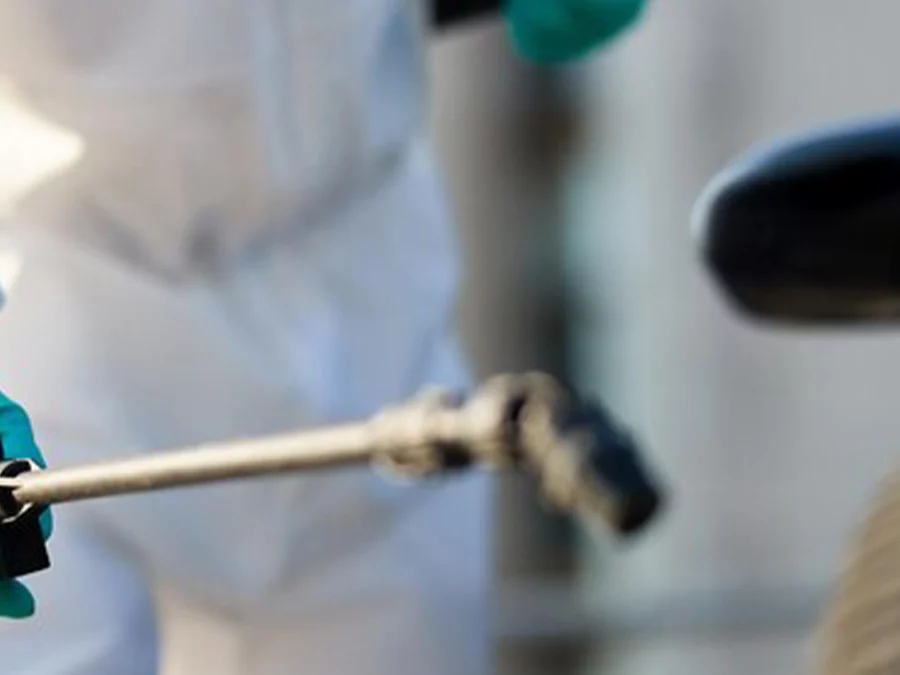 Désinsectisation à Lyon :Signes indiquant la nécessité d’une désinsectisation professionnelle