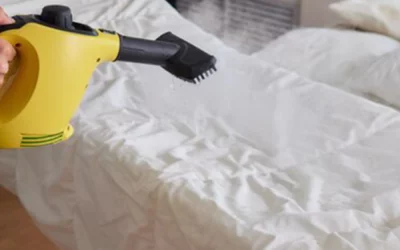 Désinsectisation à Lyon : Obligations pour propriétaires et syndics d’immeubles