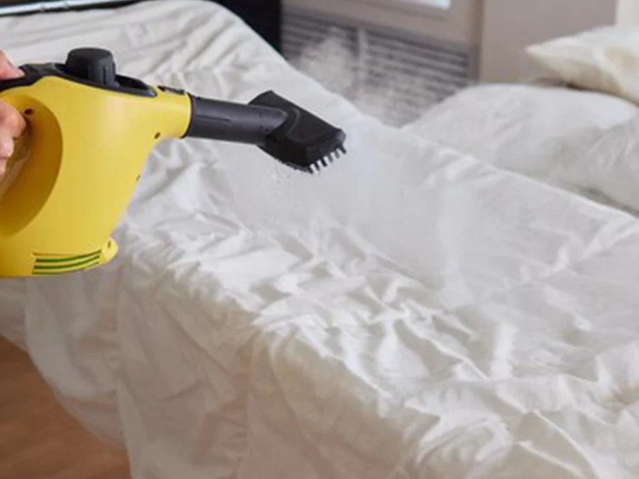 Désinsectisation à Lyon : Obligations pour propriétaires et syndics d’immeubles