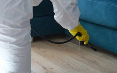 Réglementation de la Désinsectisation à Lyon pour les Logements et Locaux Professionnels