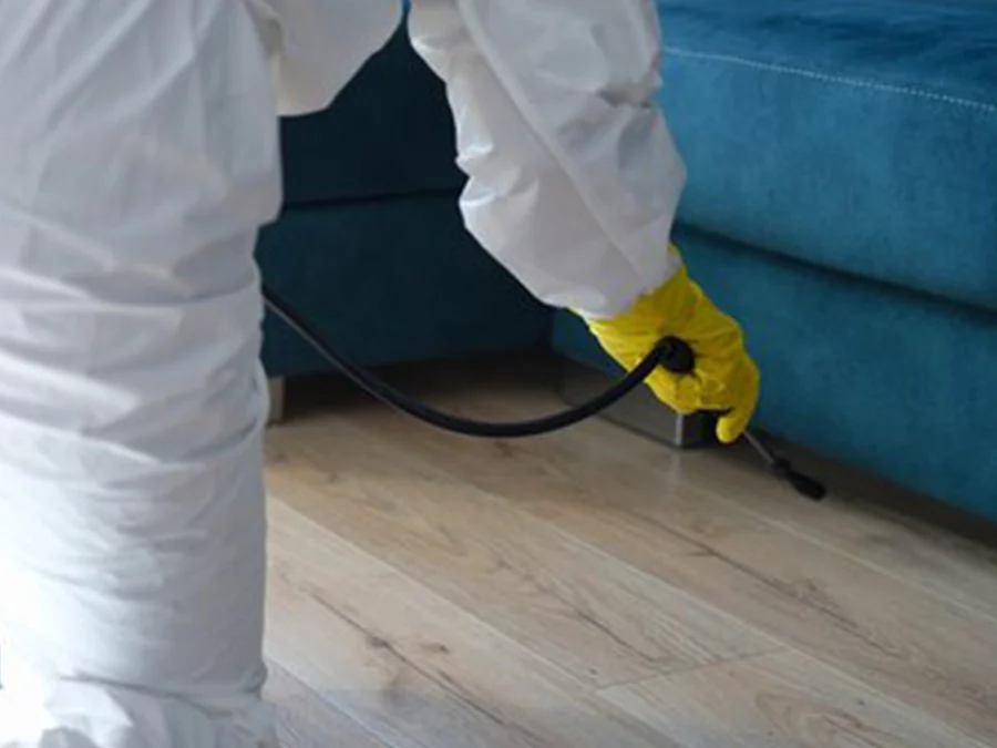 Réglementation de la Désinsectisation à Lyon pour les Logements et Locaux Professionnels
