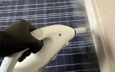 Quels sont les signes indiquant la présence de rats à Lyon et comment procéder à une dératisation efficace ?