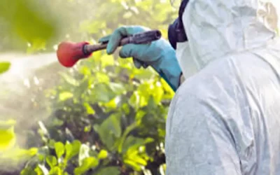 Désinsectisation à Lyon 69 : Quels sont les insectes nuisibles les plus courants à Lyon nécessitant une désinsectisation ?