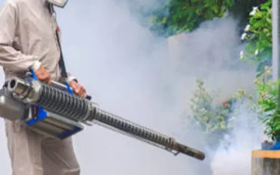 Désinsectisation à Lyon 69 : Quand faut-il faire appel à un service de désinsectisation à Lyon ?
