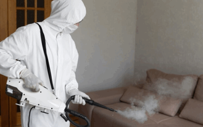 Quels produits et techniques sont utilisés pour une désinfection punaise de lit à Lyon efficace et durable ?